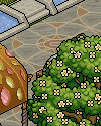 Hashtag agosto2019 su HabboLife Forum Scre1088