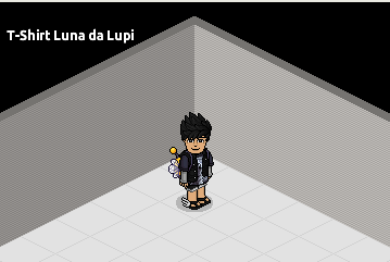 Indumenti anni 2000 in catalogo su Habbo Scre4636