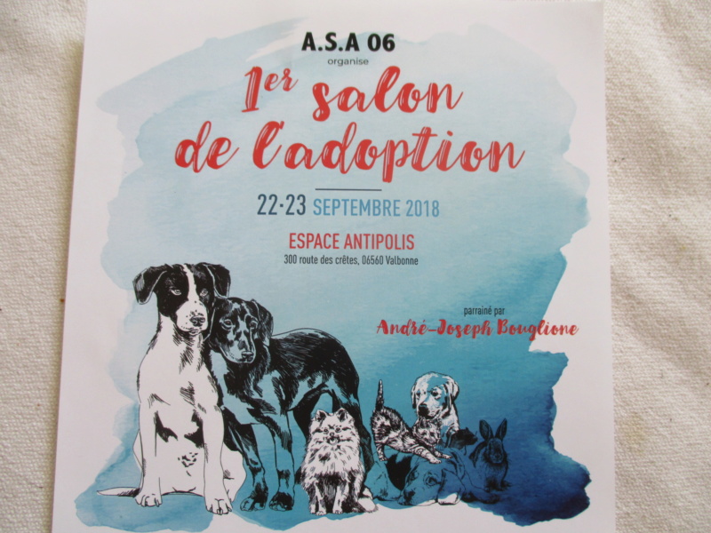 Salon de l'adoption /Alpes Maritimes, 22-23 Sept 2018 Img_1424