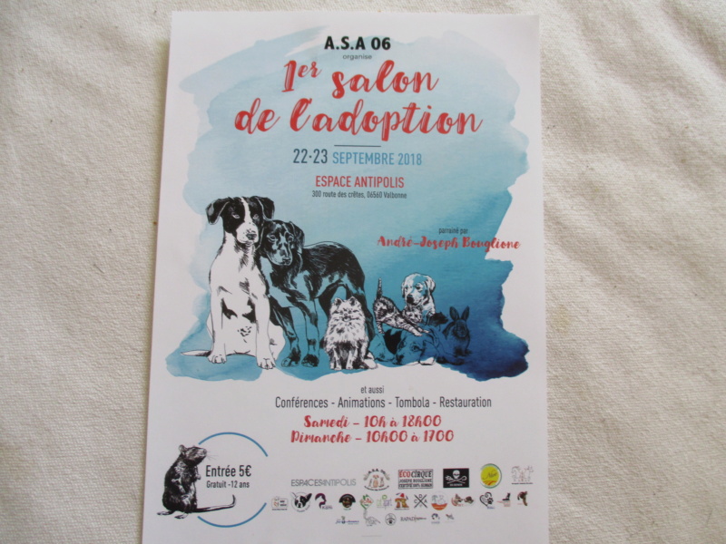 Salon de l'adoption /Alpes Maritimes, 22-23 Sept 2018 Img_1425