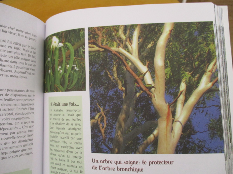 La vie secrète des arbres de Peter Wohlleben Img_1526