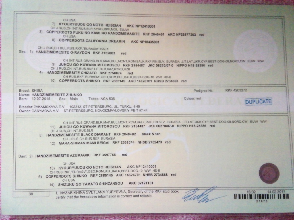 РЕАЛЬНЫЕ ПАЦАНЫ Photo11