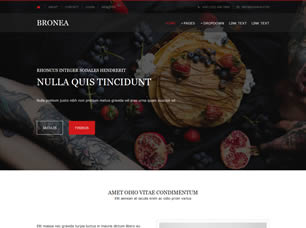 BRONEA FREE CSS TEMPLATE Bronea10