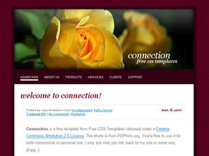 CONNECTION FREE CSS TEMPLATE Connec11