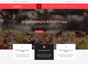 GLEBLU FREE CSS TEMPLATE Gleblu10