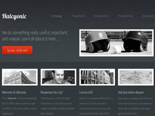 HALCYONIC FREE CSS TEMPLATE Halcyo11