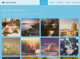 MULTI COLOR FREE CSS TEMPLATE Multi-10