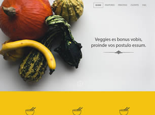 VEGGI FREE CSS TEMPLATE Veggi10