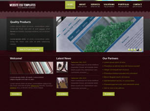 WCSST 49 FREE CSS TEMPLATE Wcsst-13