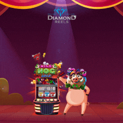 Diamond Reels Casino Exclusive 75 Free Spins on Wild Hog Luau April 2022 Dr-wl-10