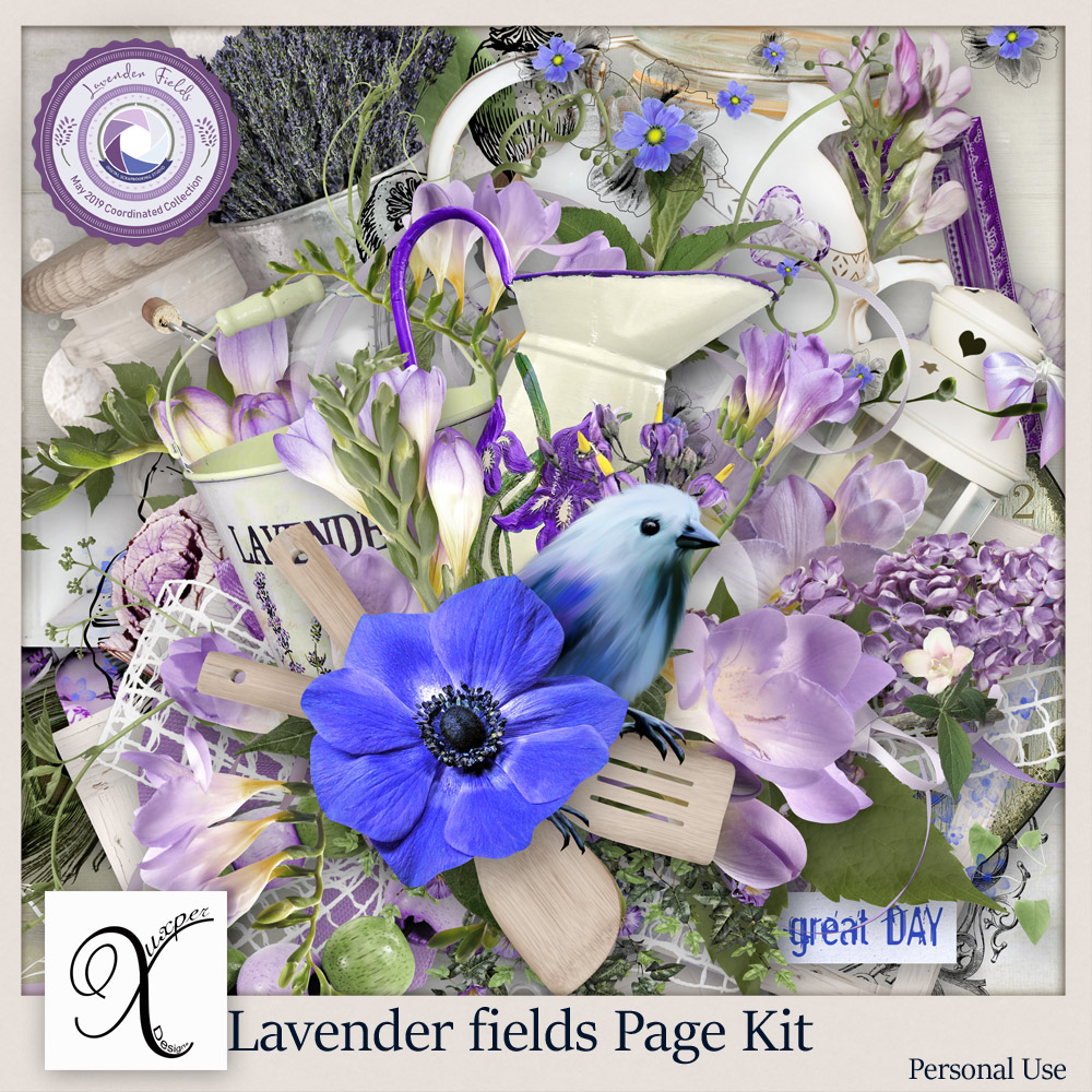 Lavender Fields 10.05 (Excle Studio) Xuxpe138