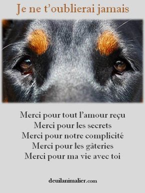 BOUBA mon tendre chien 6e237f10