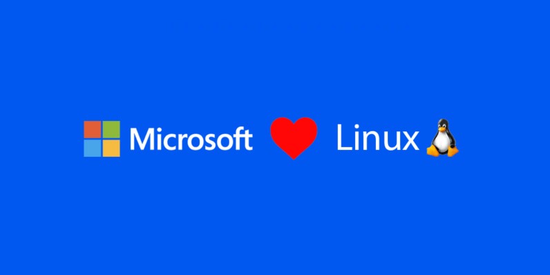 Así es el nuevo sistema operativo de Microsoft basado en Linux Lm10