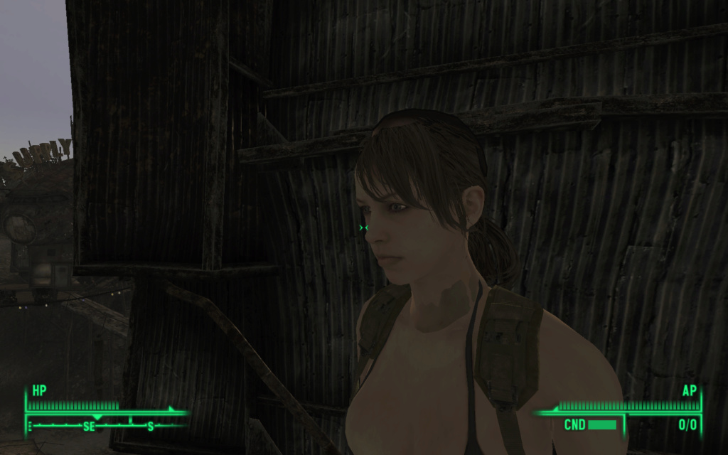 Texture bug converting mod from FNV-FO3 - Snake/Quiet Screen11