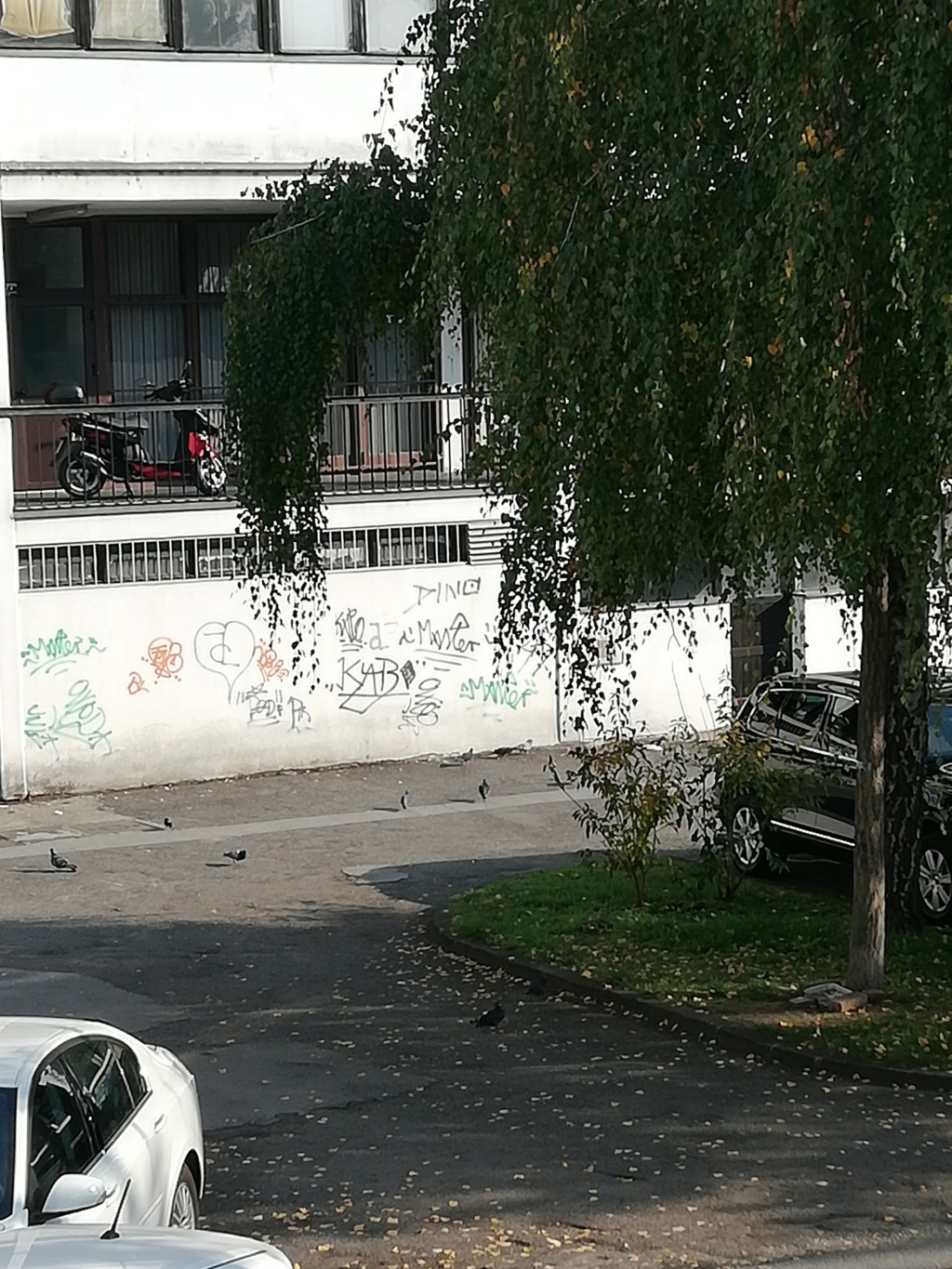 Senfov stranacki kolega naredio da se ukloni mural posvecen braniteljima i Vukovaru.Prosvjednici se okupljaju.Cekaju HEP-ovu dozvolu. Img_1410