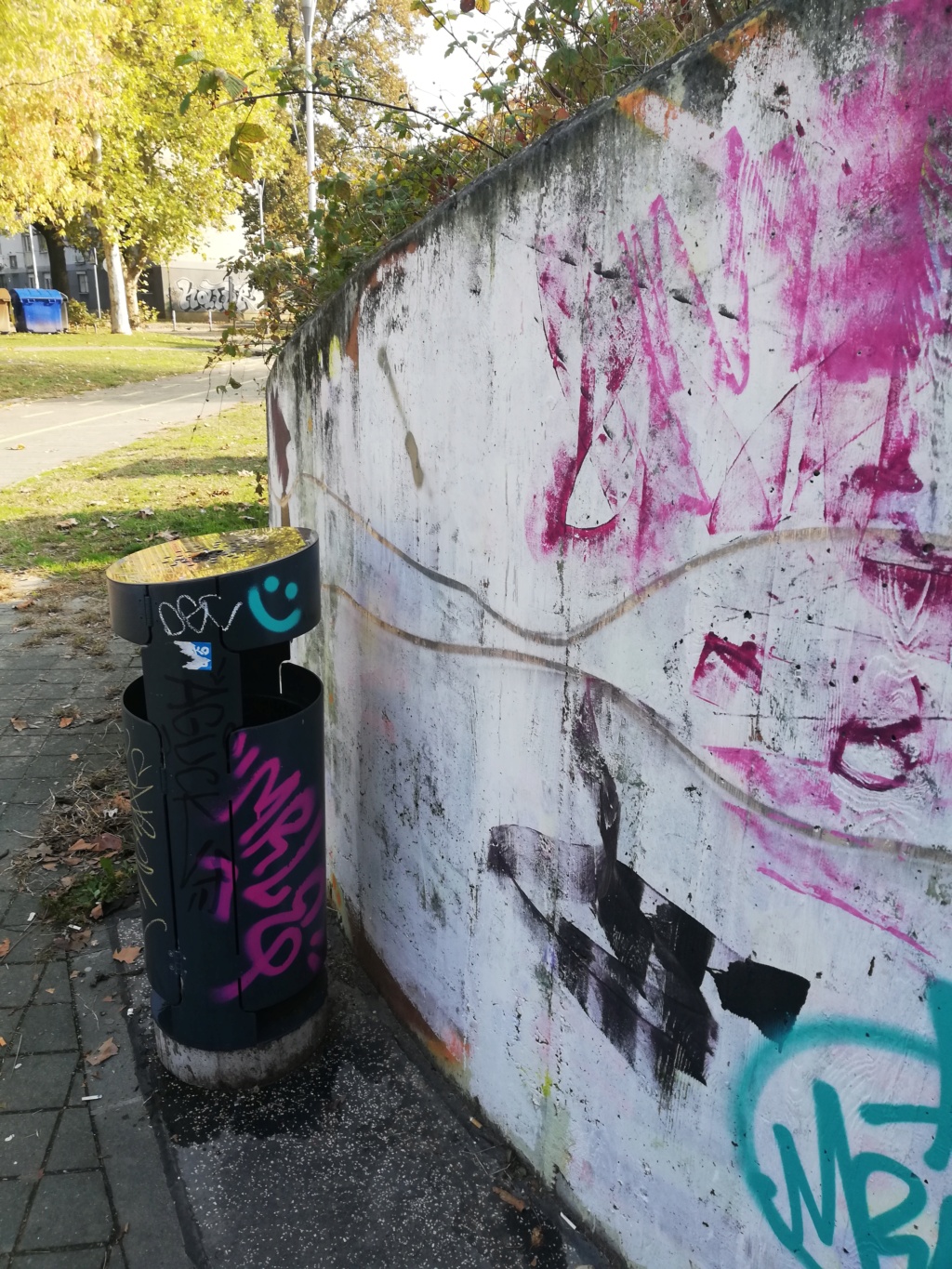 Senfov stranacki kolega naredio da se ukloni mural posvecen braniteljima i Vukovaru.Prosvjednici se okupljaju.Cekaju HEP-ovu dozvolu. Img_2710
