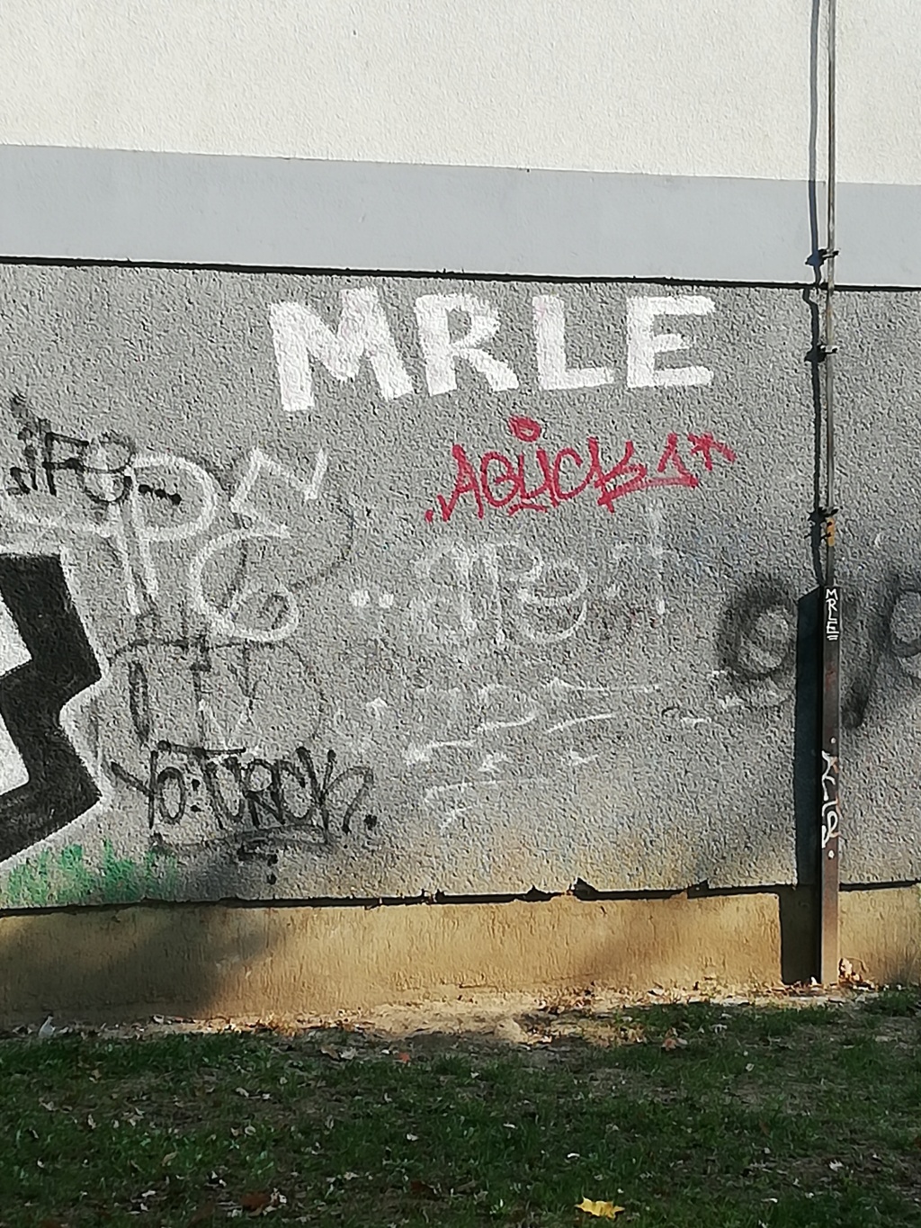 Senfov stranacki kolega naredio da se ukloni mural posvecen braniteljima i Vukovaru.Prosvjednici se okupljaju.Cekaju HEP-ovu dozvolu. Img_2810