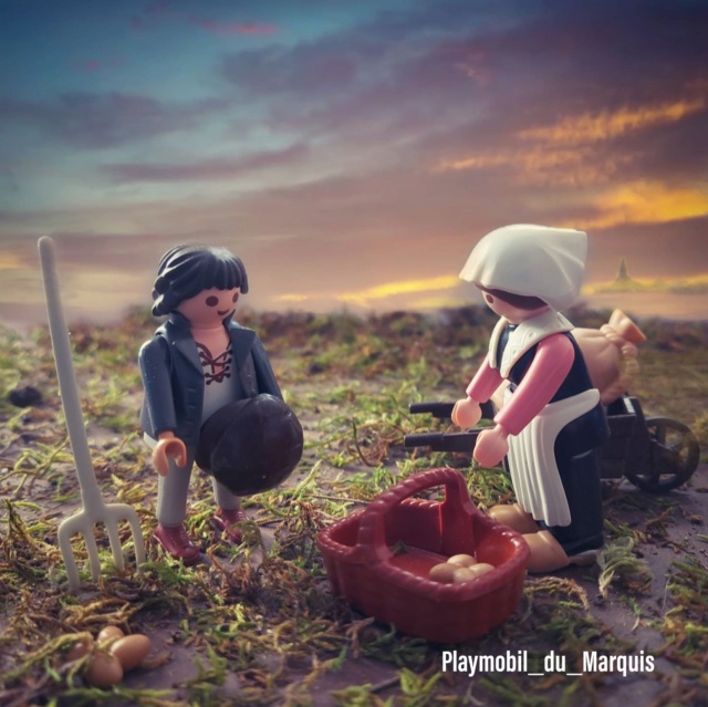 Playmobil du Marquis (Instagram) 1410