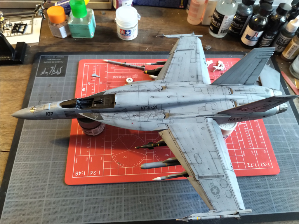 [Eduard (Hasegawa)] 1/48 - Boeing F/A-18E Super Hornet Img_2140