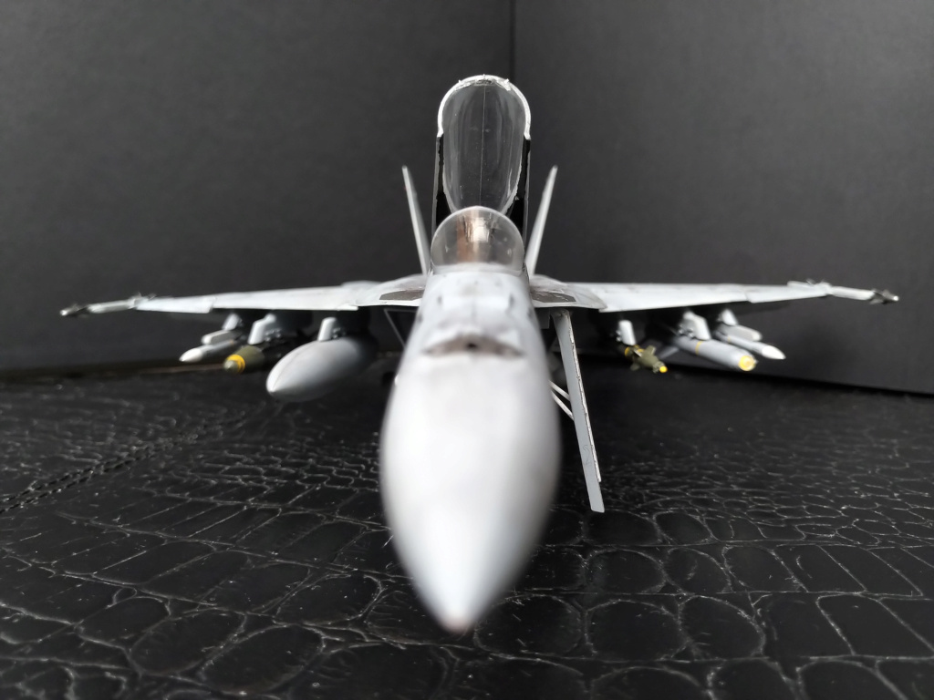 [Eduard (Hasegawa)] 1/48 - Boeing F/A-18E Super Hornet - Page 2 Img_2156