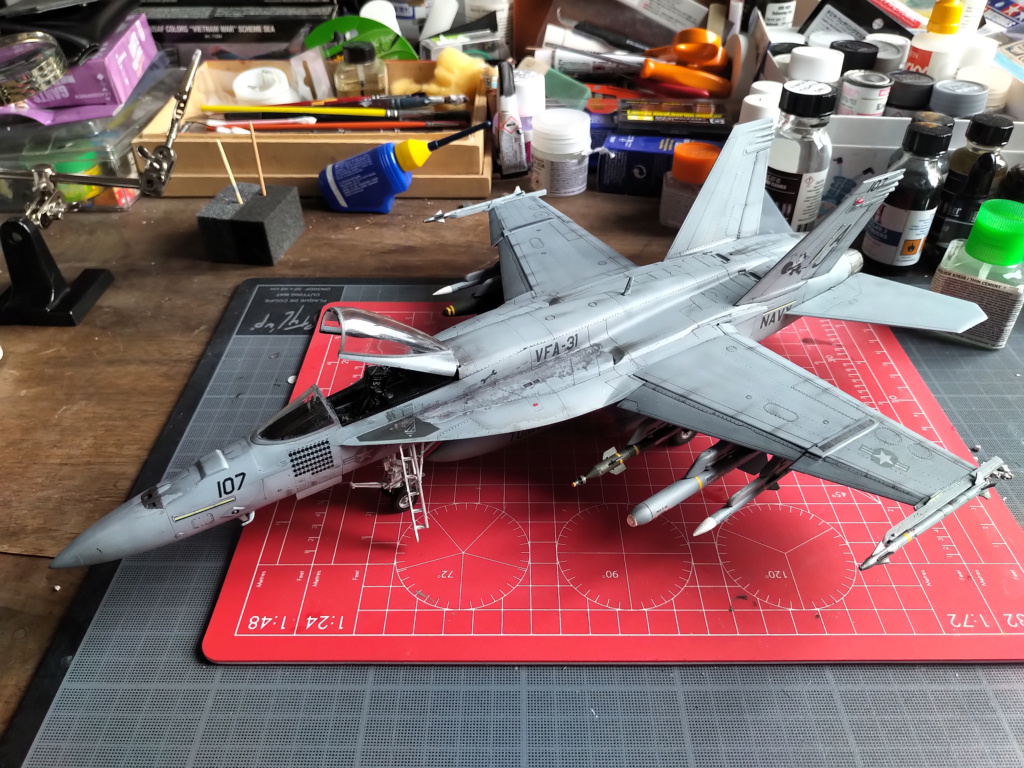 [Eduard (Hasegawa)] 1/48 - Boeing F/A-18E Super Hornet - Page 2 Img_2163