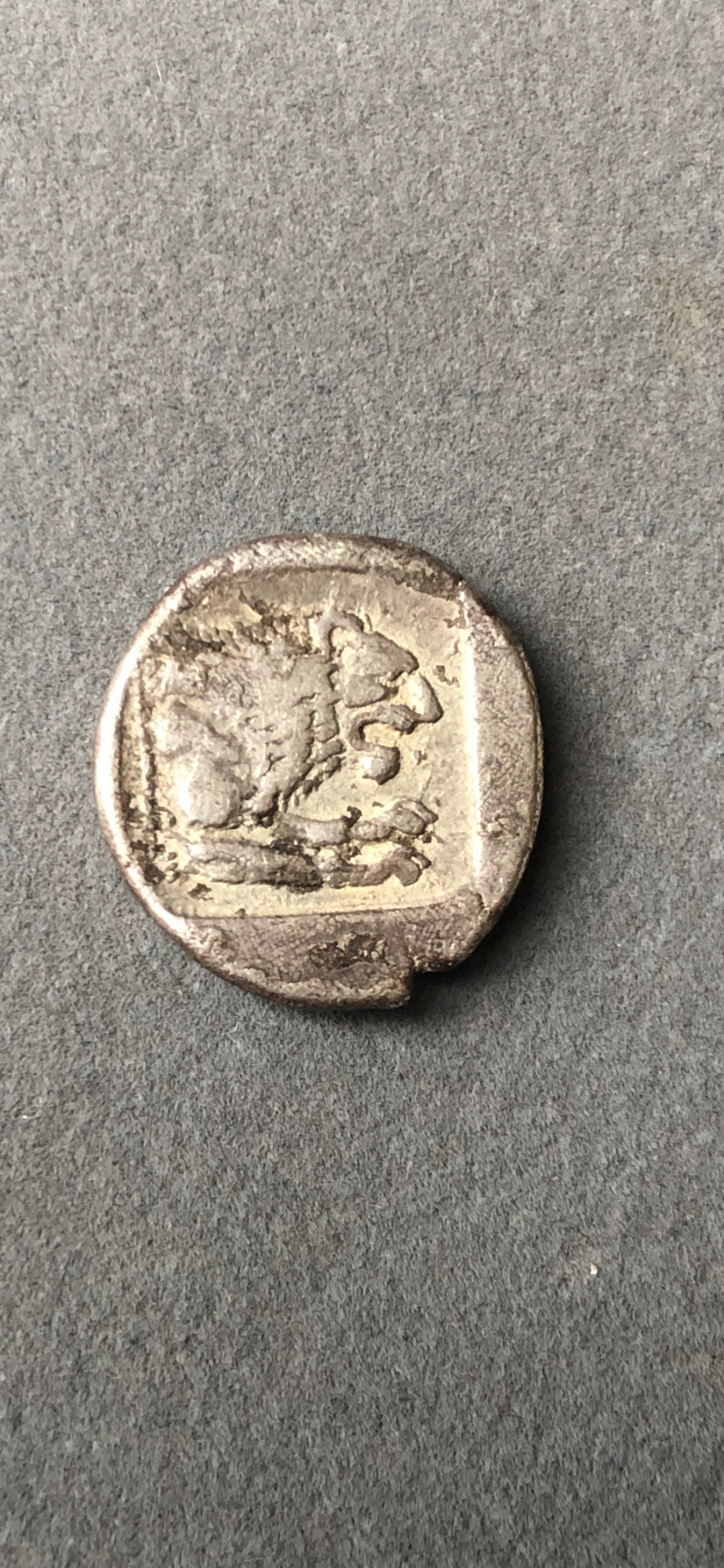 Tetróbolo de Pérdicas II (Macedonia, 451-413 a.C.) 5ec17e10