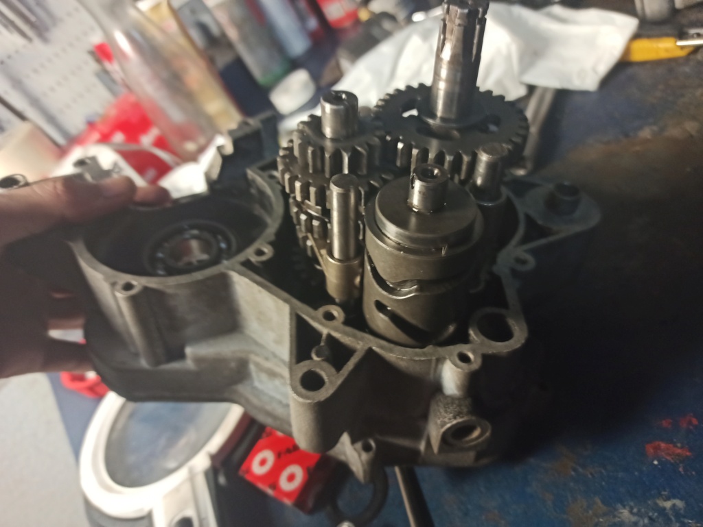 Motor Derbi GPR 75 Caja_d10