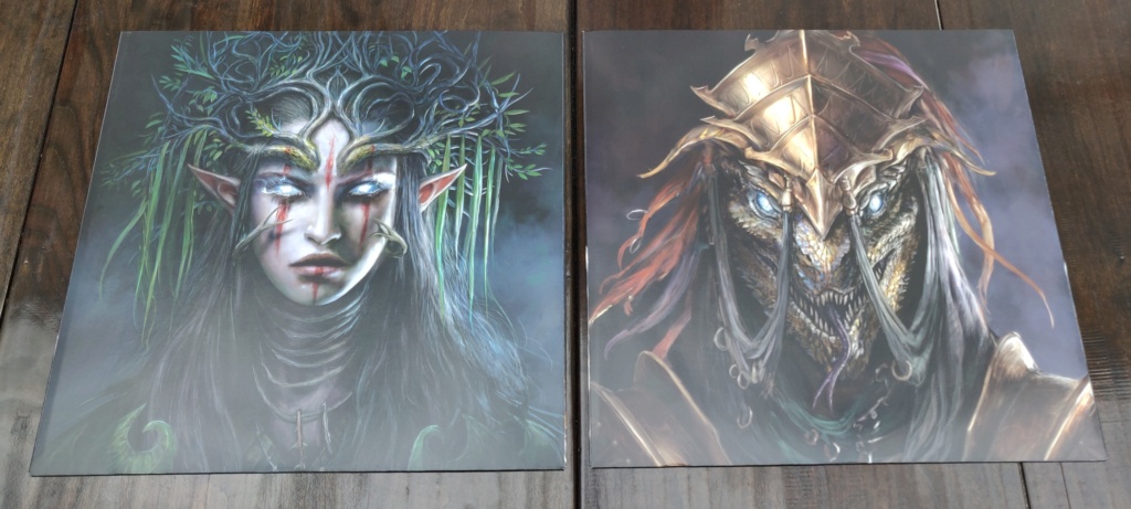 Mes collections (Steelbooks-Vinyles-Artbooks) [Risen] Divini14