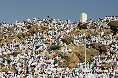 عرفة .. يوم لميلاد قلوب جديـــدة  ... وأدعية يوم عرفه 9213