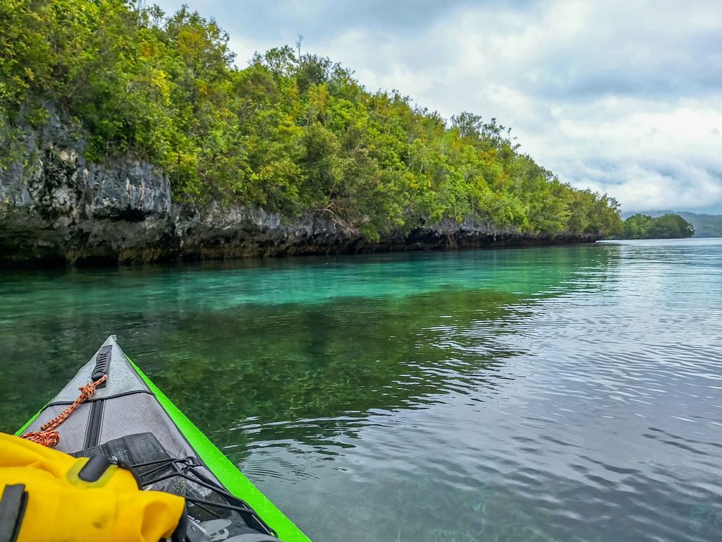 De retour des Raja Ampat 20240818