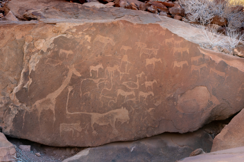 Carnet de voyage en Namibie _dsc0112