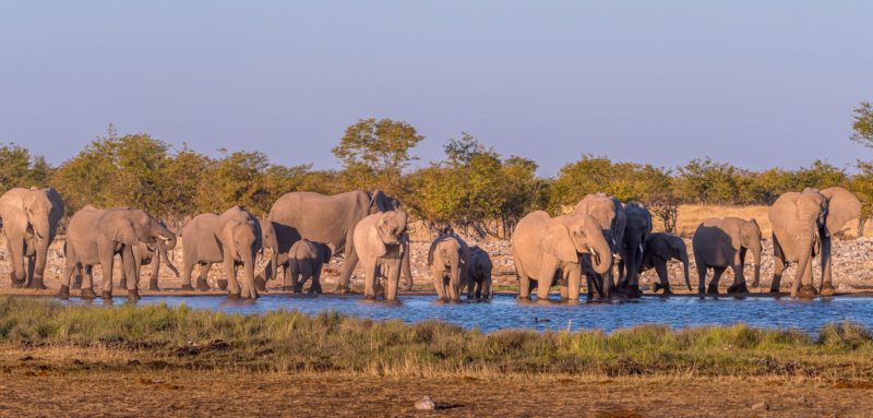 Carnet de voyage en Namibie _dsc0813