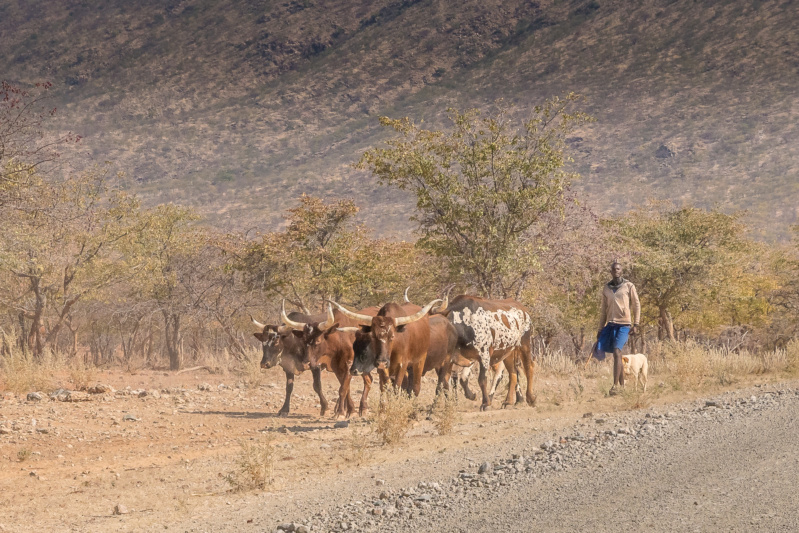 Carnet de voyage en Namibie _dsc1519