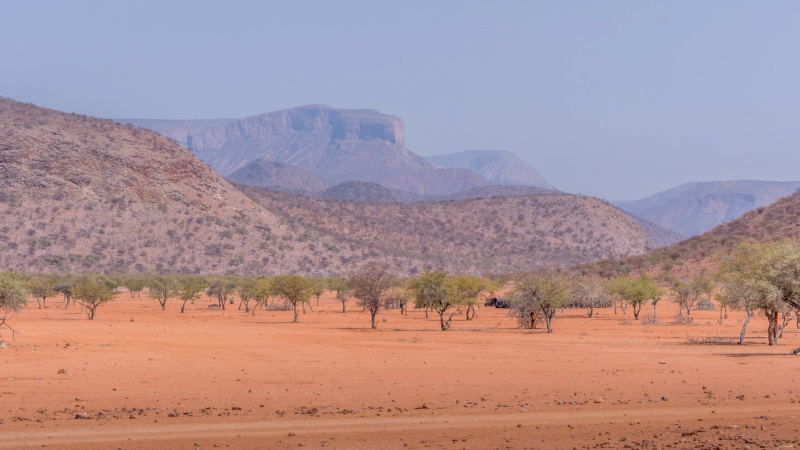 Carnet de voyage en Namibie _dsc1610