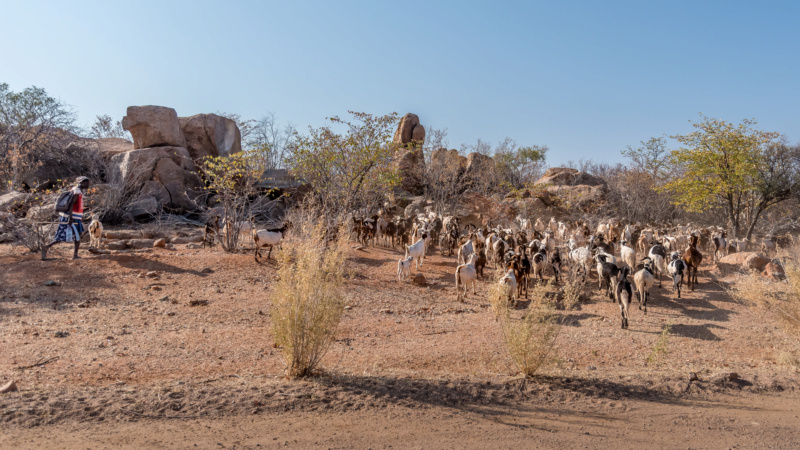 Carnet de voyage en Namibie _dsc1621