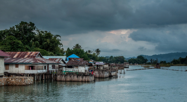 Découvrir l'Indonésie: Sulawesi Dsc_0120