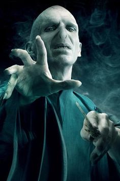 Voldemort-Tom Riddle  8a1b5c10