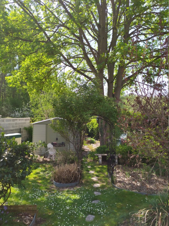Avril-Mai 2020 jardin de Philippe (France) Img_2014