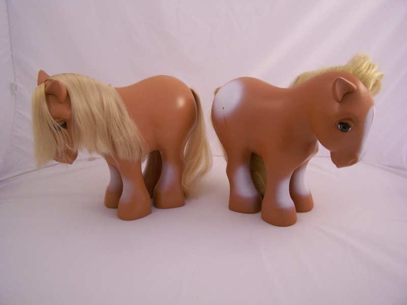 My pretty pony / Mon cher poney Bliste11