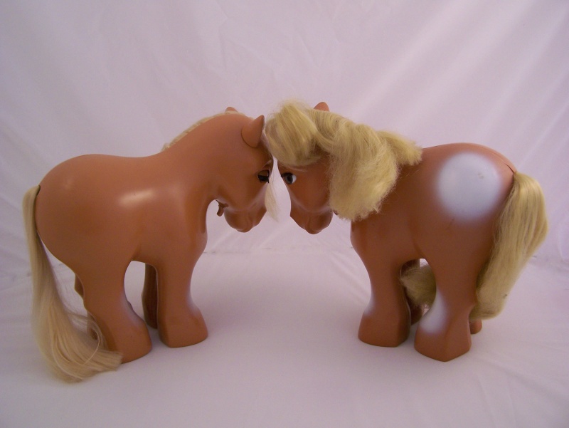 Mon Petit Poney / My Little Pony G1 (Hasbro) 1982/1995 Pretty10