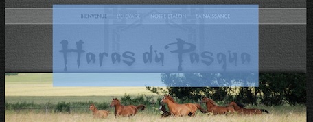 publication iweb Captur10