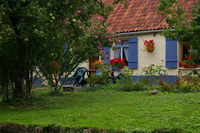 Le marais Audomarois( St Omer, France) 082010 Sg1l9912