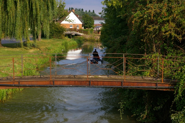 Le marais Audomarois( St Omer, France) 082010 Sg1l9918