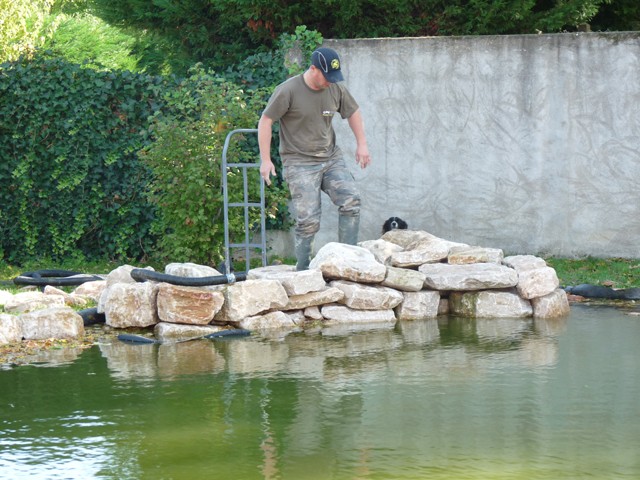 Réserve à vifs ou bassin d'agrément   - Page 3 110