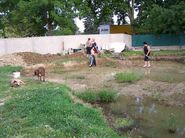 bassin - Réserve à vifs ou bassin d'agrément   2a10