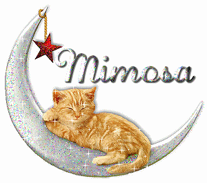 un chat sur la lune.... Mimosa10