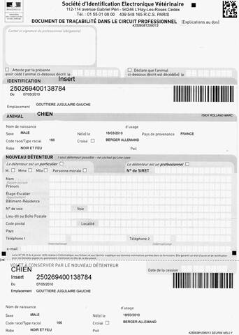 Les documents officiels obligatoires pour lu0027achat du0027un chiot/chien
