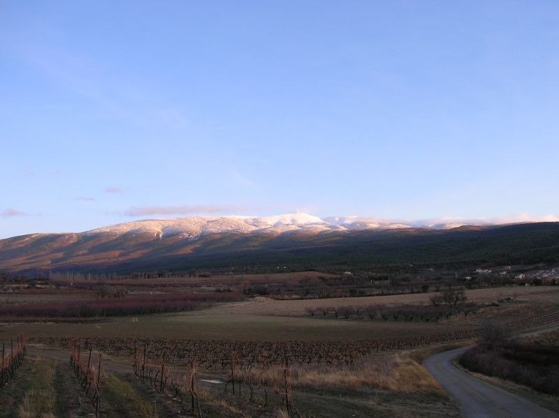 le ventoux Dscn5011