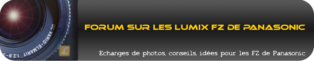 Concours Logo de votre nouveau Forum - FIN 24/02 - Page 2 Bannie10