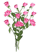 BON ANNIVERSAIRE SUR TSGE Afleur10